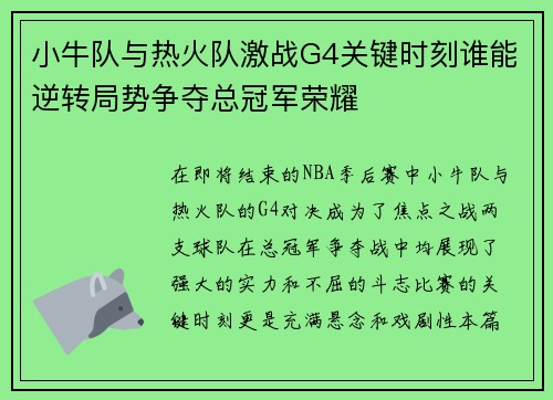 小牛队与热火队激战G4关键时刻谁能逆转局势争夺总冠军荣耀