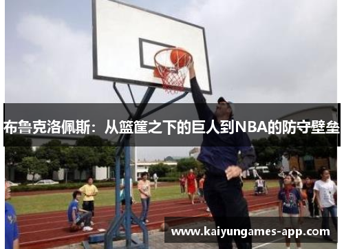布鲁克洛佩斯：从篮筐之下的巨人到NBA的防守壁垒